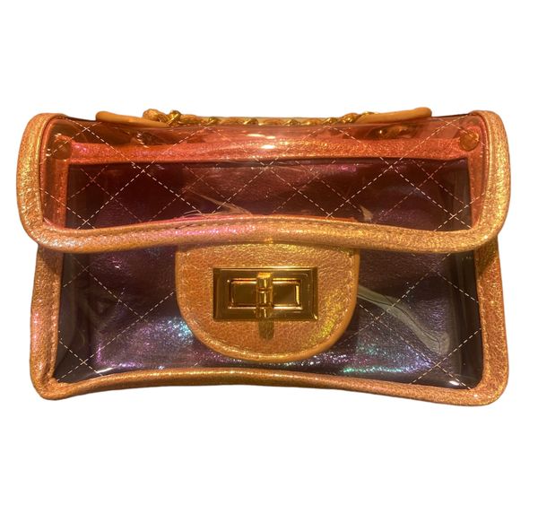 Iridescent Clear Bag
